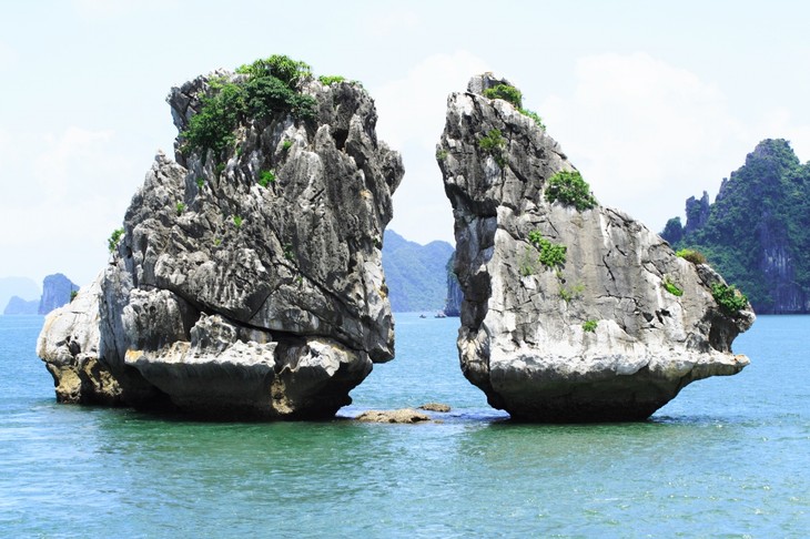 Ha Long Bay - ảnh 2